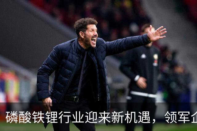 磷酸铁锂行业迎来新机遇，领军企业业绩大增